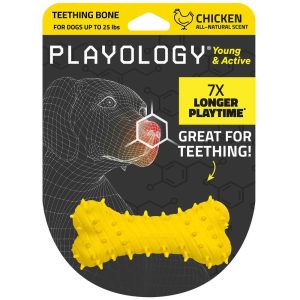 Playology Chicken Scented Teething Bone with Squeaker Dog Toy, Medium