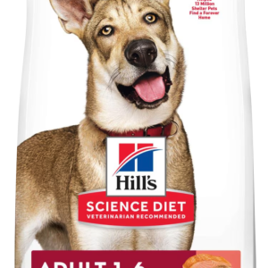Science Diet Adult Dry Dog Food, Salmon and Brown Rice