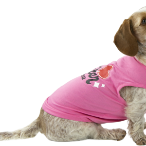 Play On Valentine's Day Tee Sucker For You