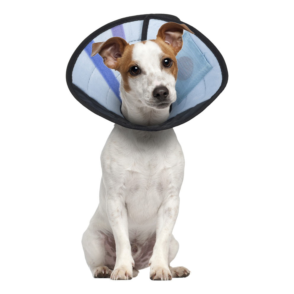 Calm Paws Dog Caring Collar With Calming - Image 4