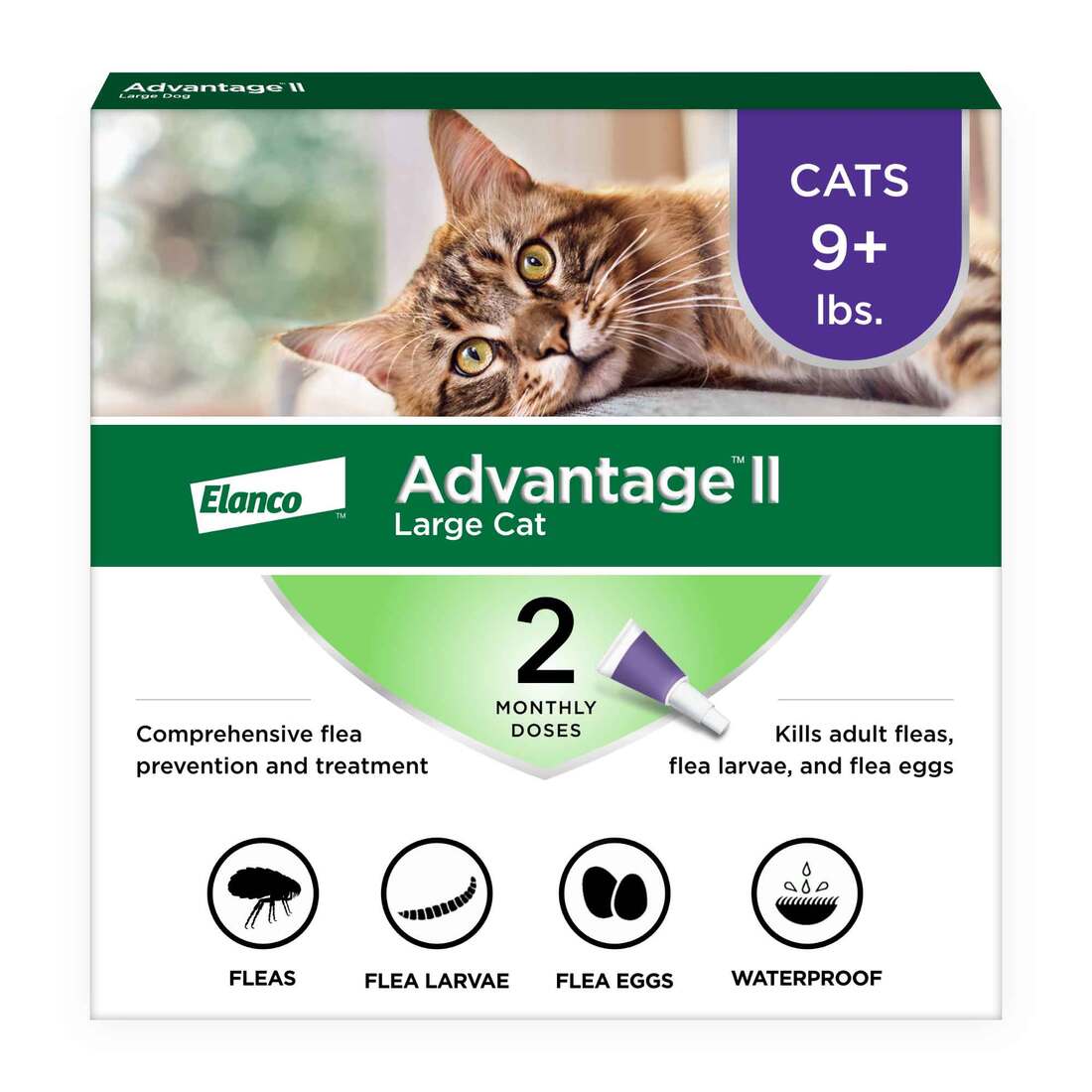 Advantage II Large Cat - Image 2