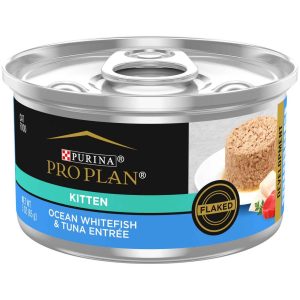 Purina Pro Plan Pate Wet Kitten Food, FOCUS