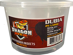 Dragon Lair Dubia Roaches, Large - Not Available For Delivery