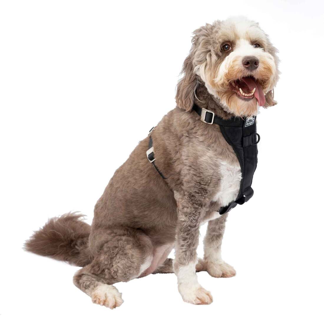 Kurgo Enhanced Strength Tru-Fit Smart Dog Harness With Steel Nesting Buckles - Image 2