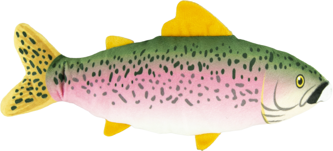 Play On Plush Crinkle Trout Dog Toy, 12 Inches