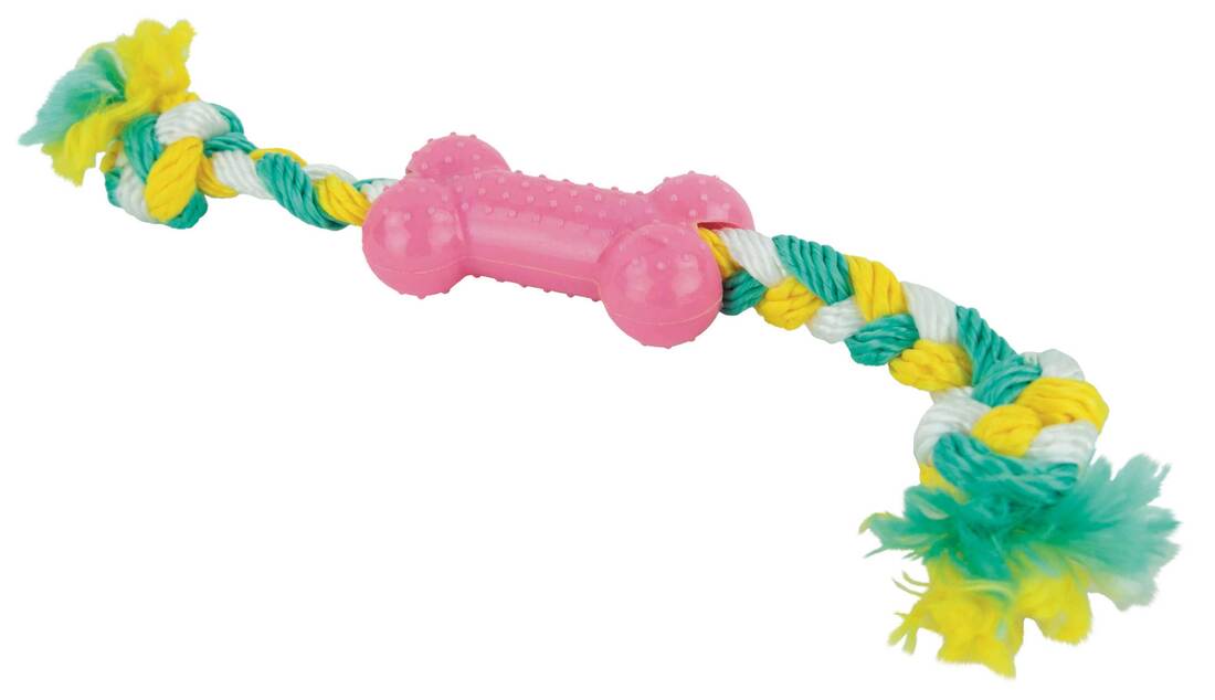 Play On Puppy Bone with Rope