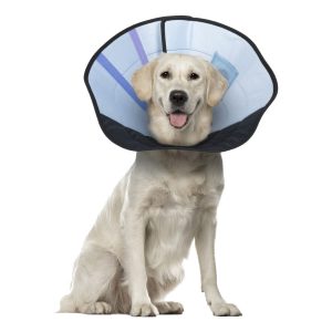 Calm Paws Dog Caring Collar With Calming