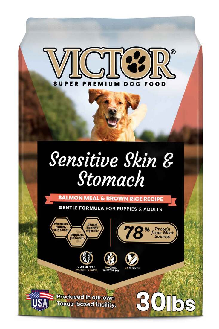 Victor Sensitive Skin & Stomach Dry Dog Food, Salmon Meal and Brown Rice - Image 2