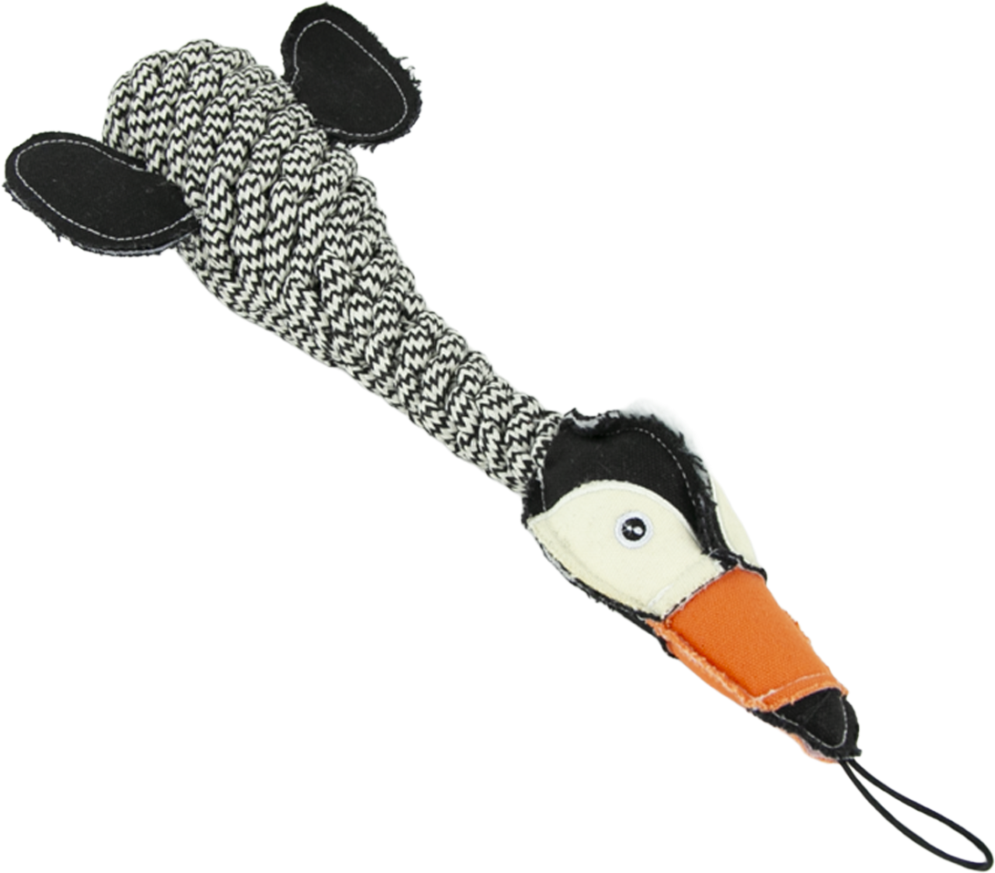Play On Rope Toucan with Crunchy Bottle Dog Toy