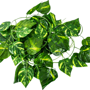 Terrassic Terrarium Décor, Evergreen Vine, 92 Inches