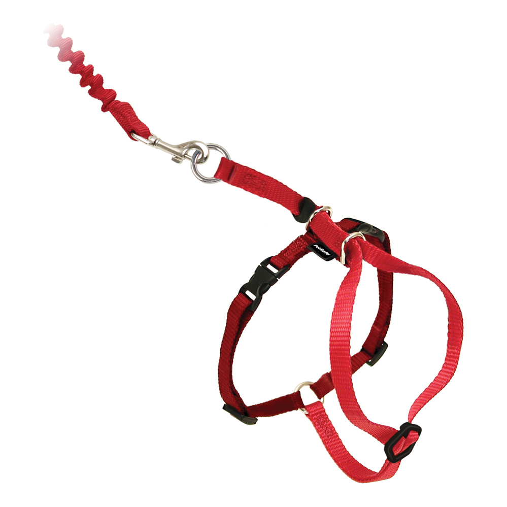 PetSafe® Come With Me Kitty™ Harness & Bungee Leash - Image 2