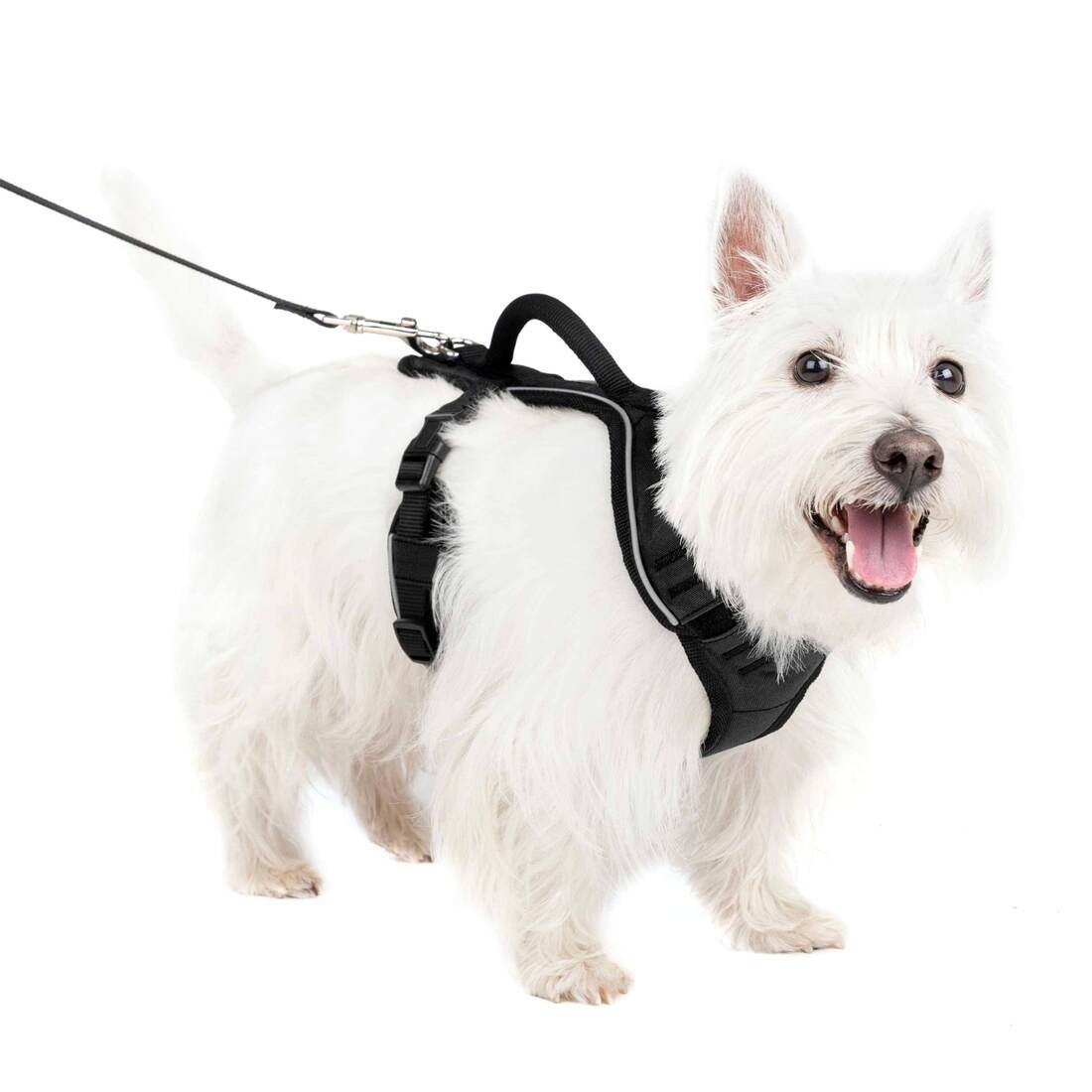 PetSafe® EasySport Harness - Image 8