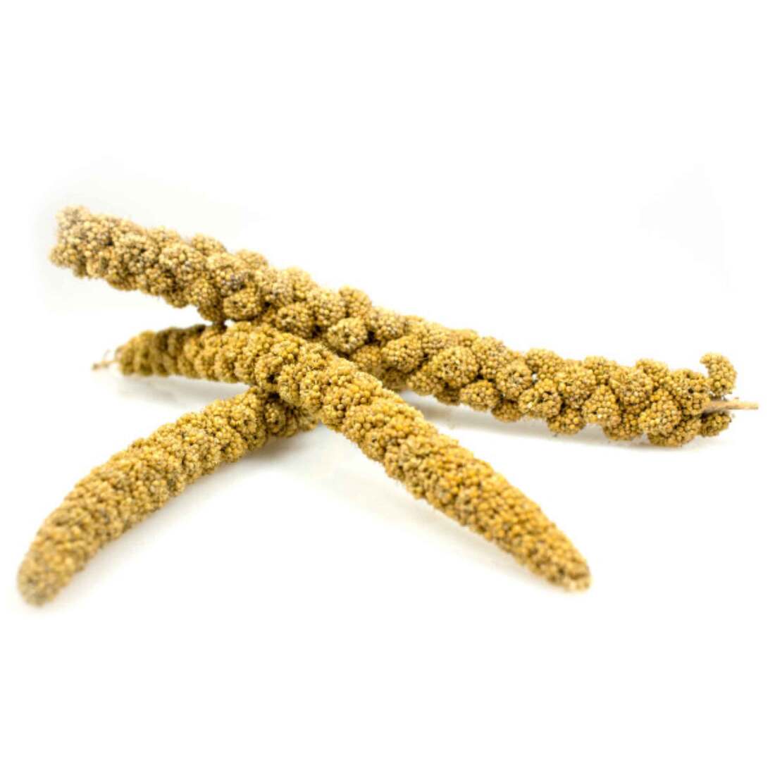 Sunseed Spray Millet - Image 2