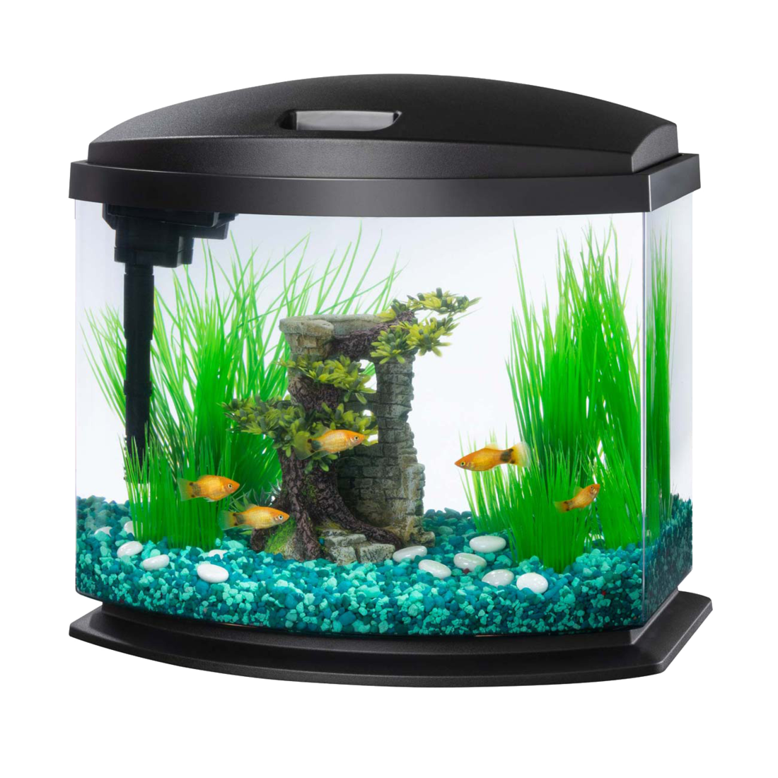 Aqueon LED MiniBow™ Kit with SmartClean™ Technology, Black, 5 Gallon