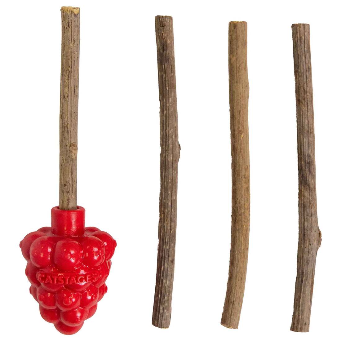 Catstages Dental Raspberry Teether With Silvervine Sticks Cat Toy