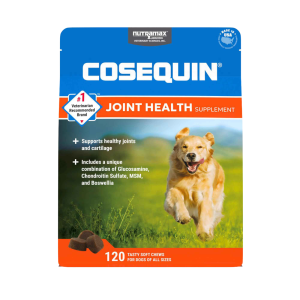 Nutramax Cosequin Maximum Strength Joint Health Supplement Soft Chews for Dogs, 120 Count