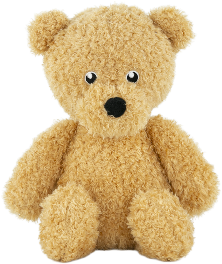 Play On Plush Teddy Bear Dog Toy