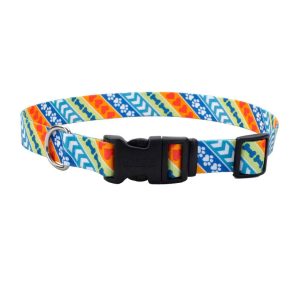 Leader Dogs for the Blind Styles Adjustable Dog Collar, Resolve
