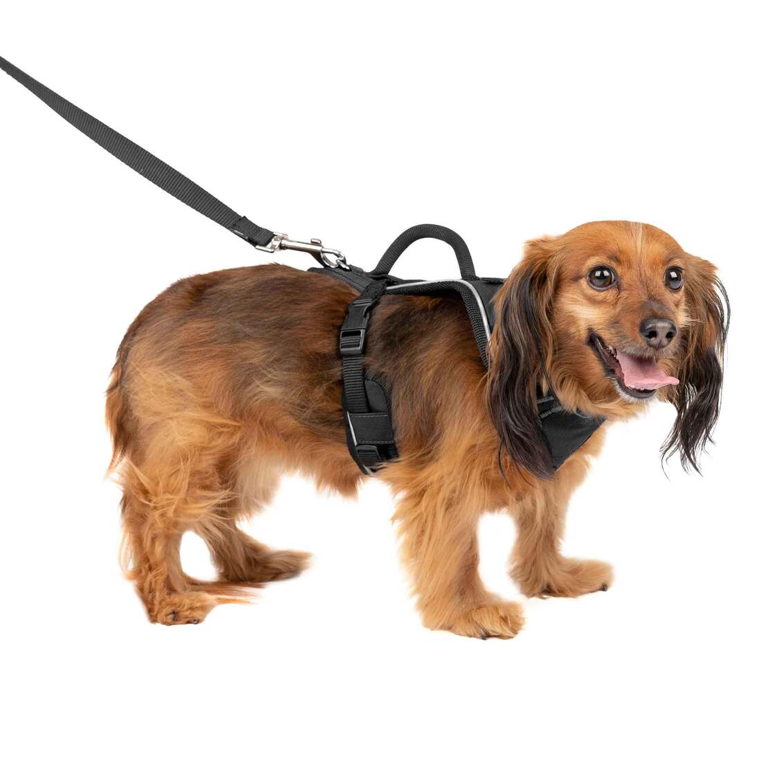 PetSafe Easysport Dog Harness, Black, Extra Small