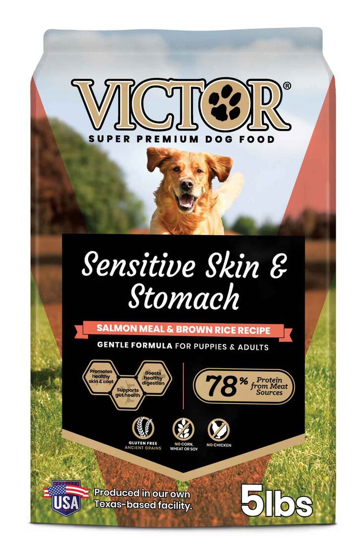 Victor Sensitive Skin & Stomach Dry Dog Food, Salmon Meal and Brown Rice