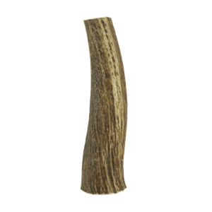 Wixom Ranch Natural Chews Whole Elk Antler