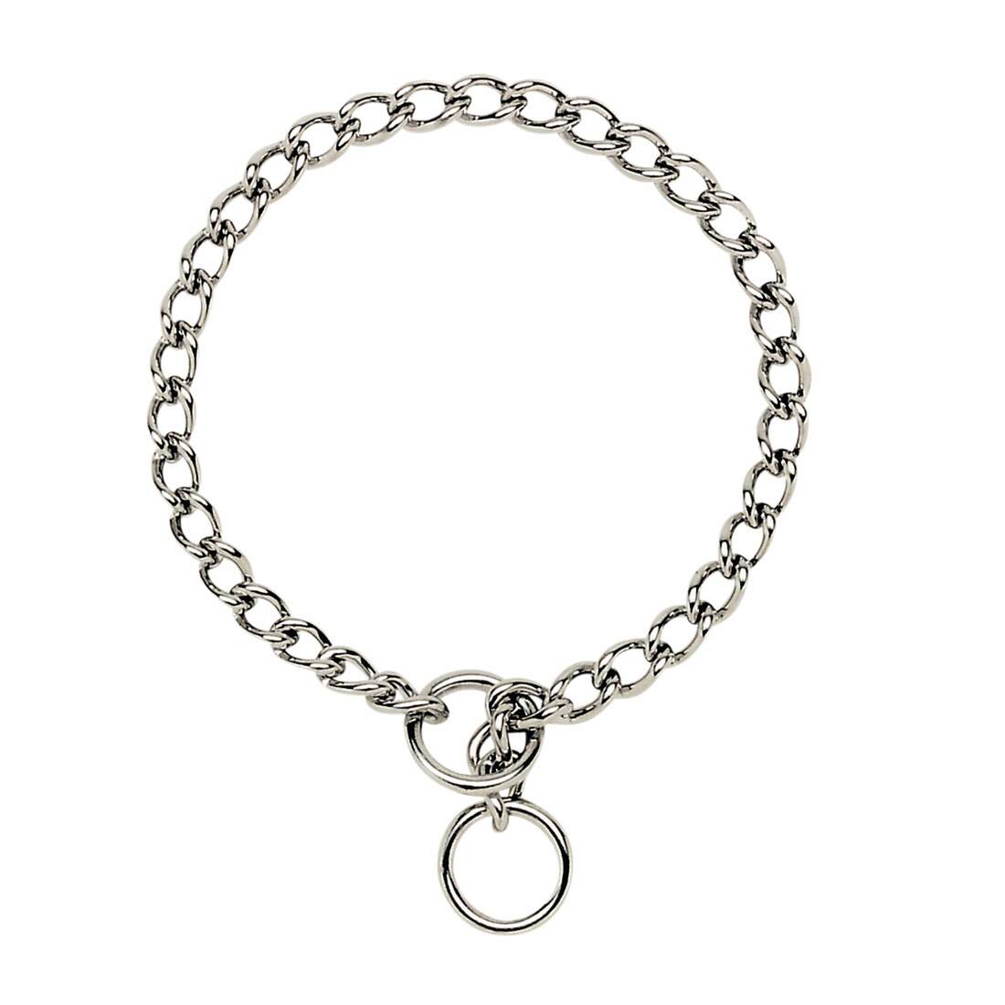 Coastal Titan® Chain Training Dog Collar - Image 5