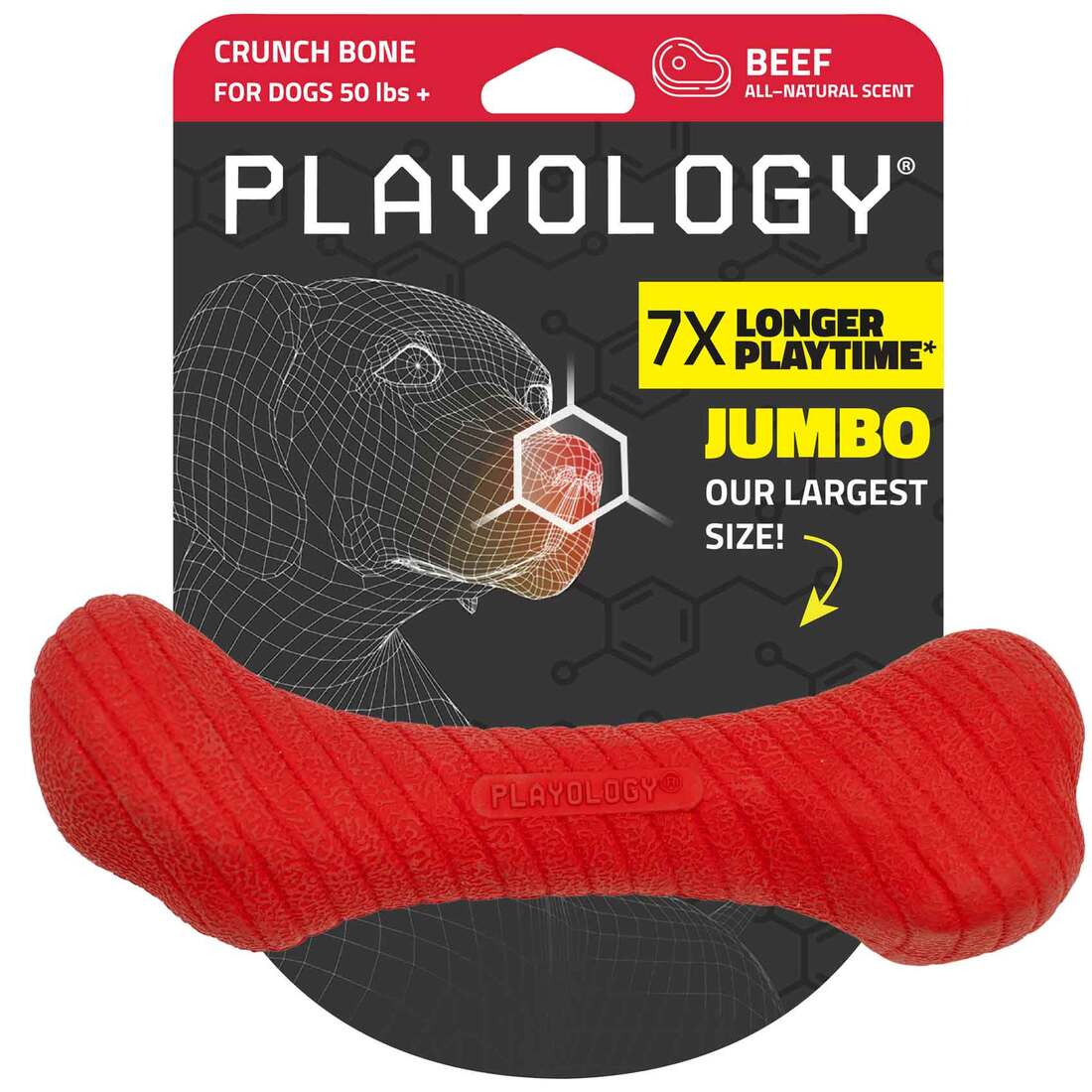 Playology Beef Scented Femur Crunch Bone Dog Toy, Large