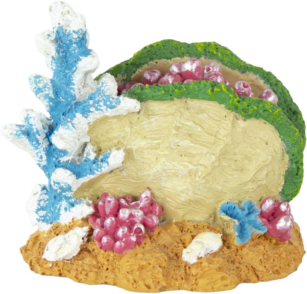 Fins First Aquarium Décor, Clam Shell with Coral, Small