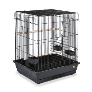 Prevue Pet Parrot Cage, Black 25" x 21"