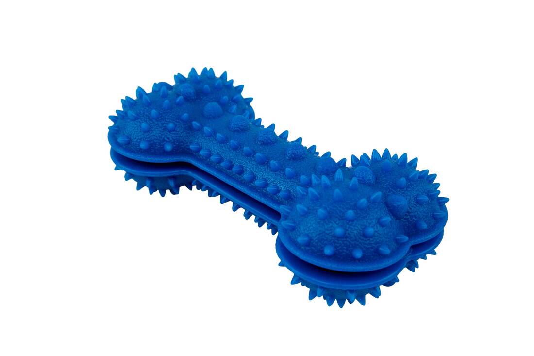 Play On Dog Toy, Treat Dispensing Bone, Assorted