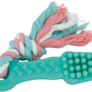 Play On Puppy Toothbrush with Rope