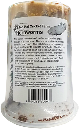 Top Hat Hornworms - Not Available For Delivery - Image 2