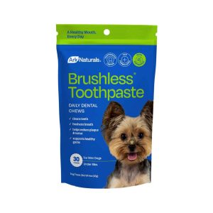 Ark Naturals Brushless Toothpaste Mini, 4 Ounces
