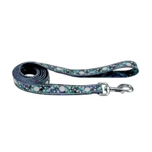 LazerBrite® Patterned Leash, Galaxy