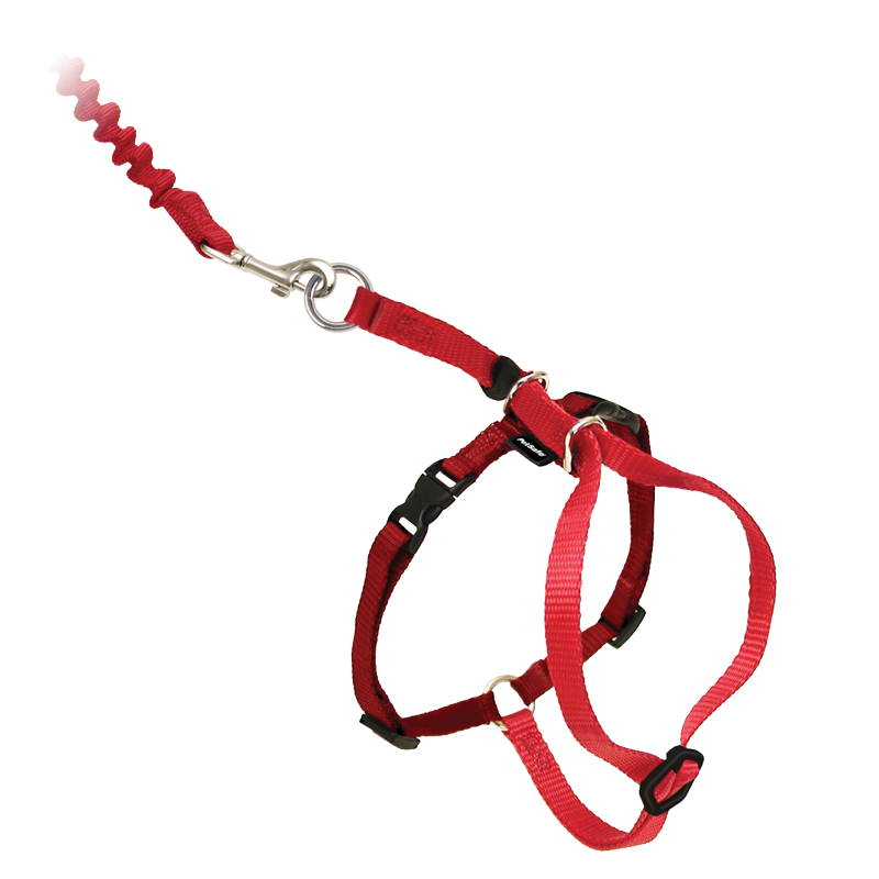 PetSafe® Come With Me Kitty™ Harness & Bungee Leash - Image 3