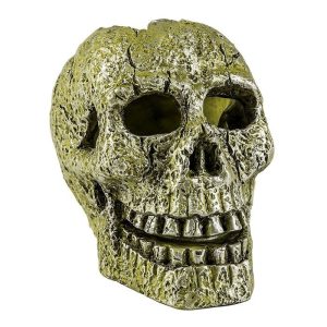 Tetra Glofish Ornament, Skull