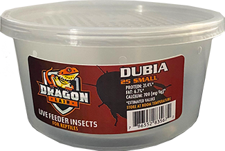 Dragon Lair Dubia Roaches, Small - Not Available For Delivery