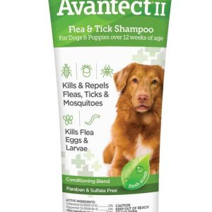 Vetality Avantectii Flea And Tick Shampoo, 8 Ounces