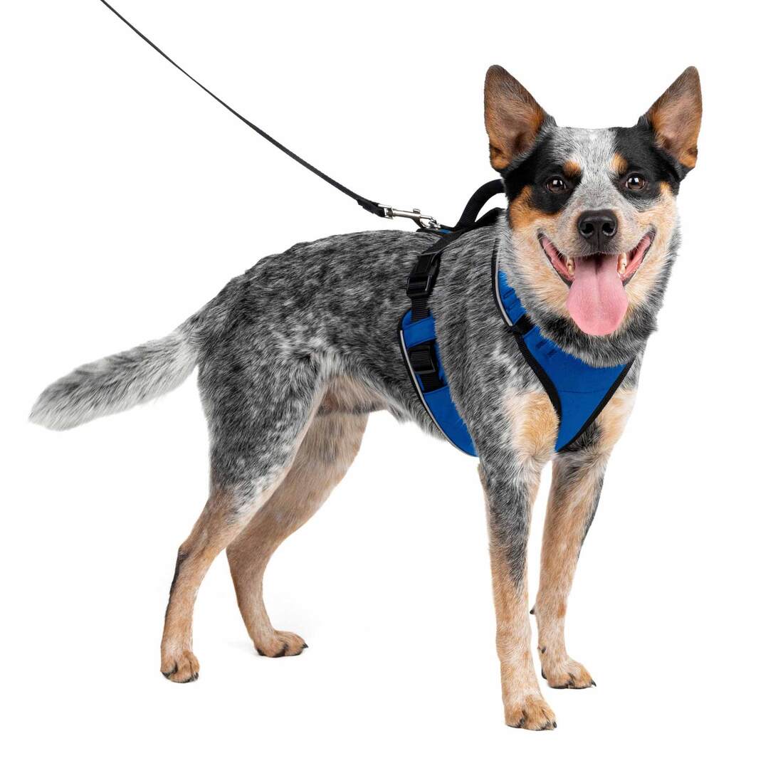 PetSafe® EasySport Harness - Image 9