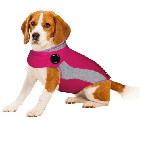 ThunderShirt® Pink Polo, Small