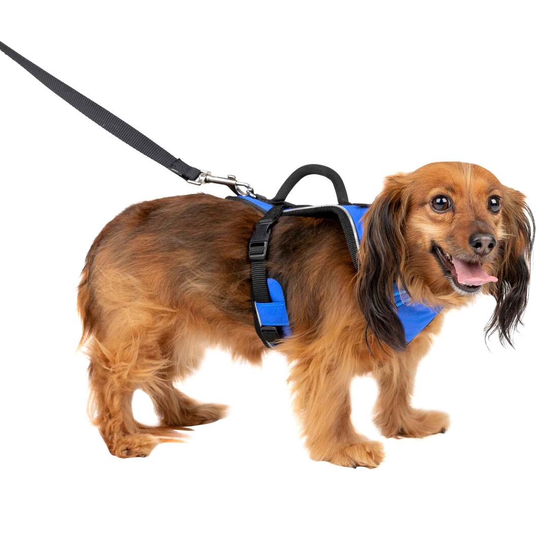 PetSafe Easysport Dog Harness, Blue, Extra Small