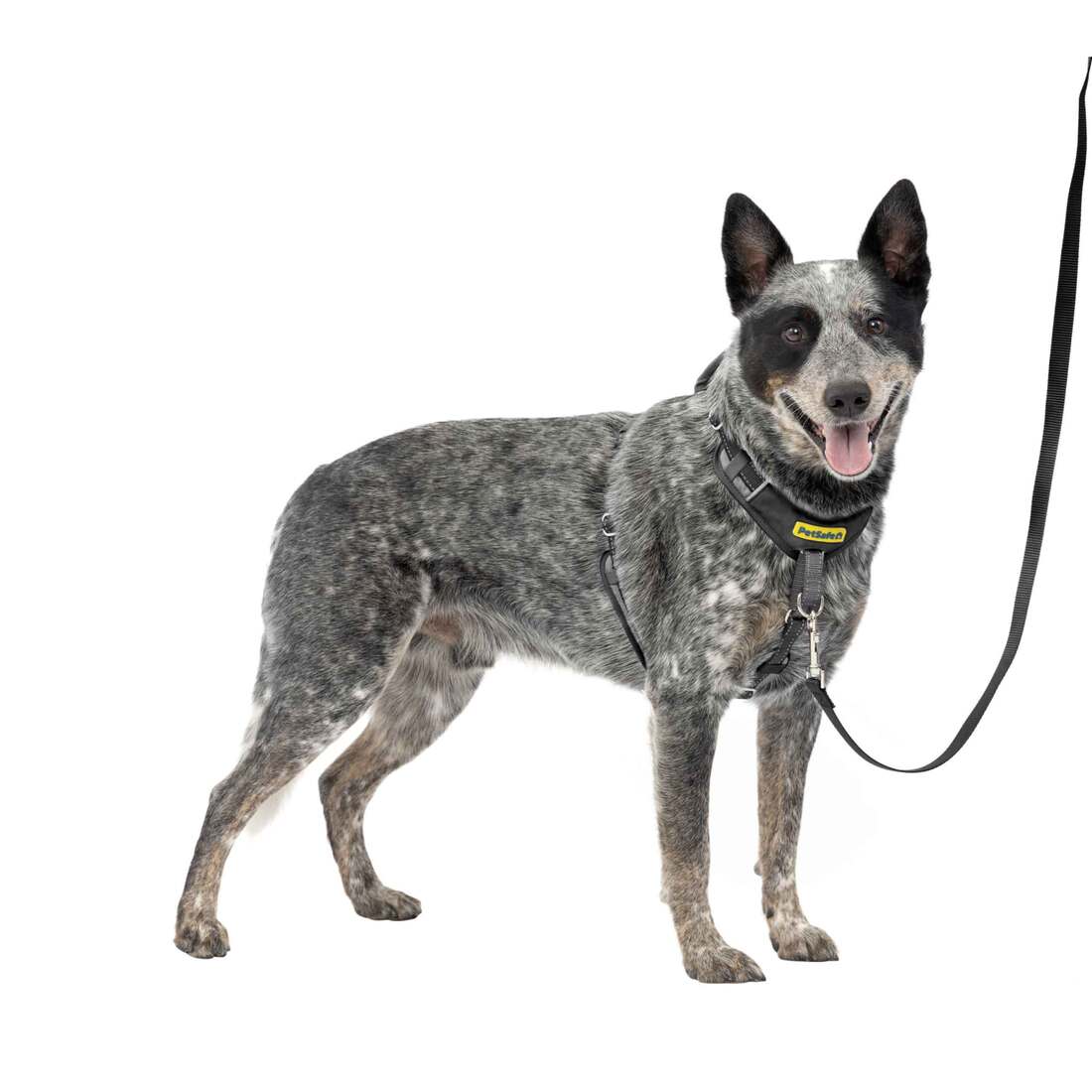 PetSafe® Easy Walk® Harness - Image 7