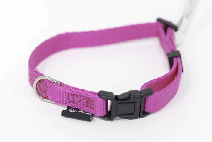 PS+ Dog Collar 8-12 Inches - Image 3