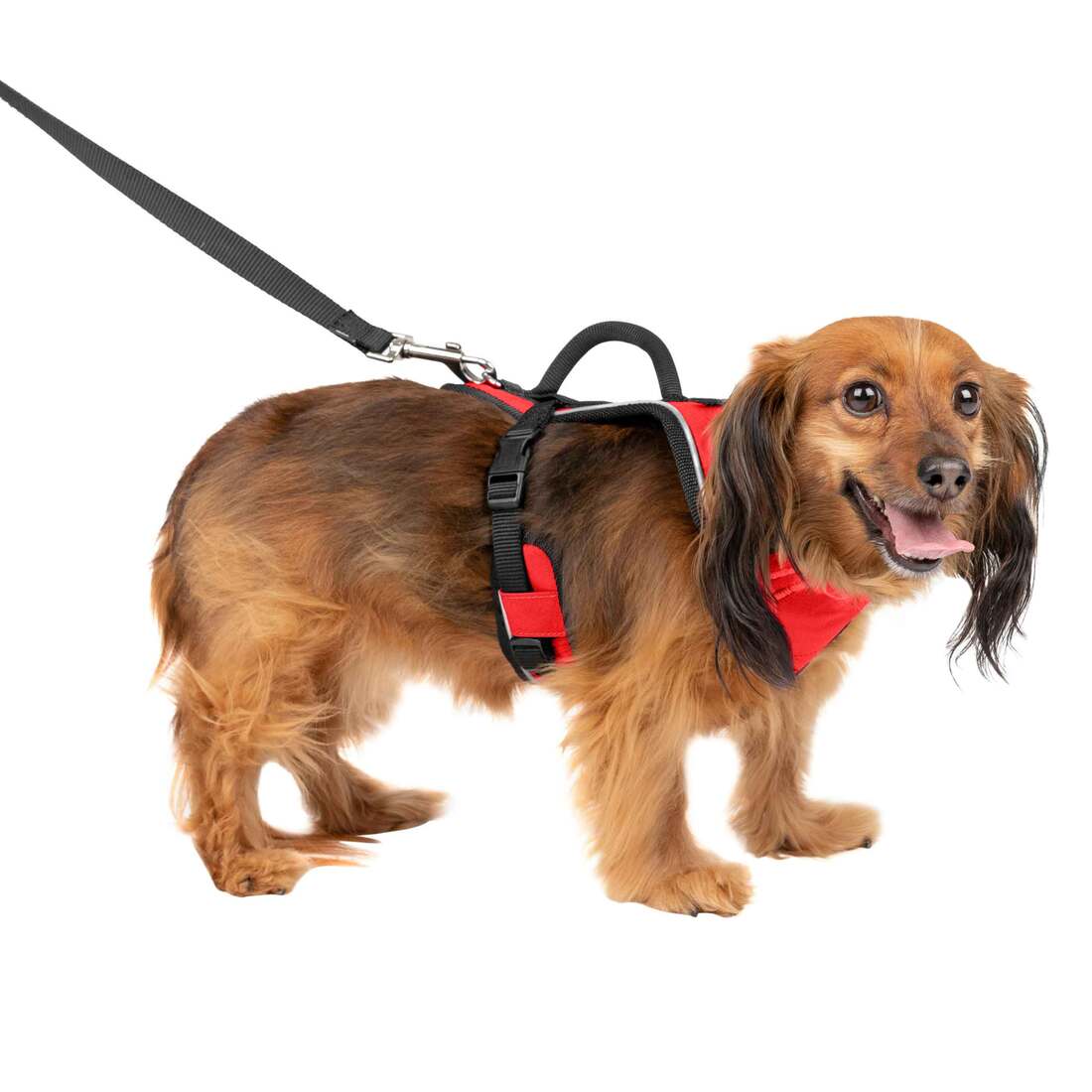 PetSafe Easysport Dog Harness, Red, Extra Small