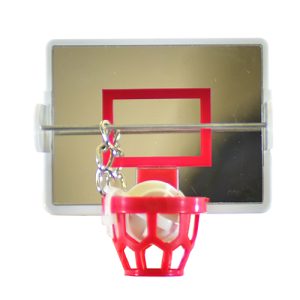 Play On Bird Toy Basketball