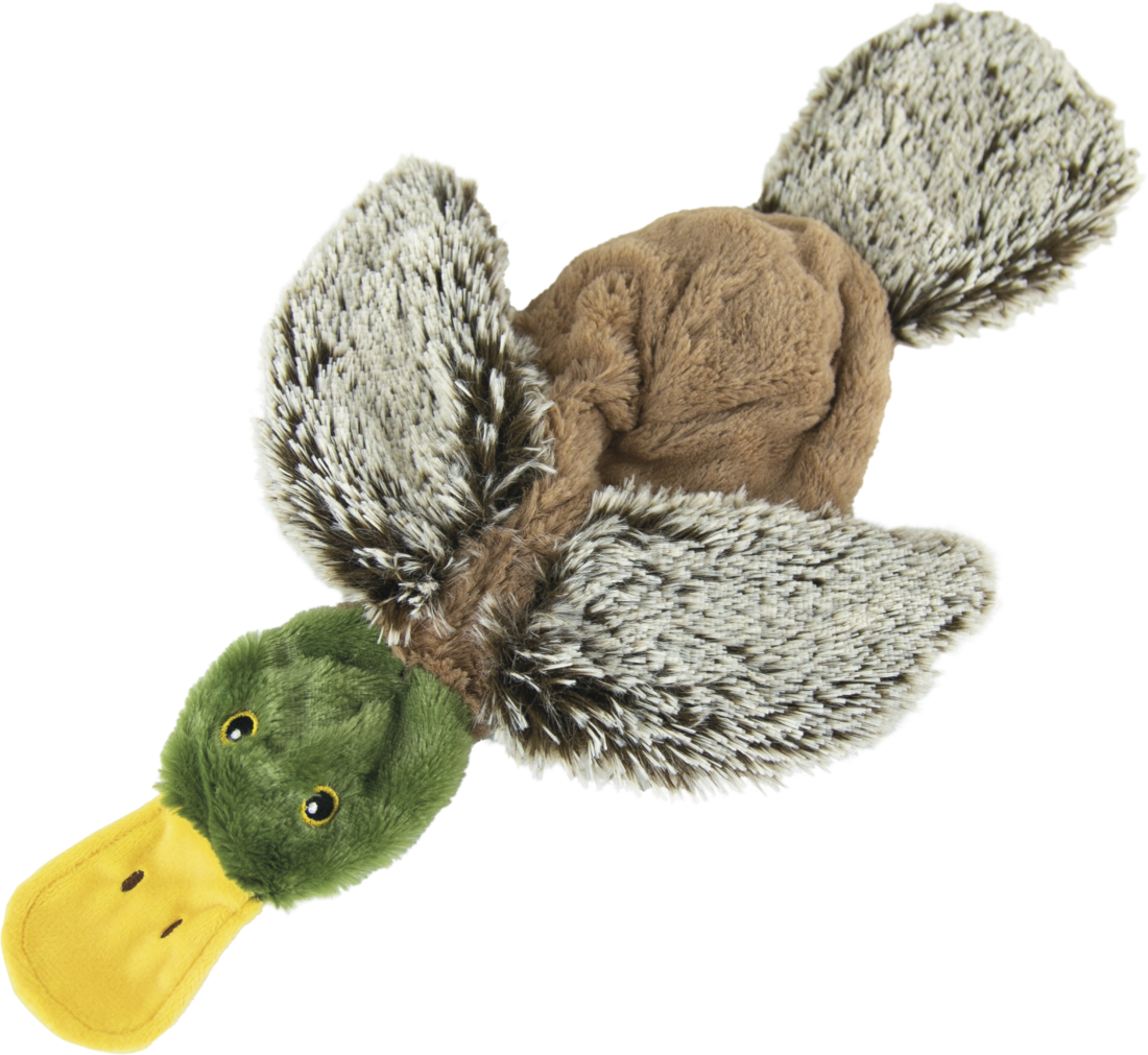 Play On Flattie Mallard Dog Toy
