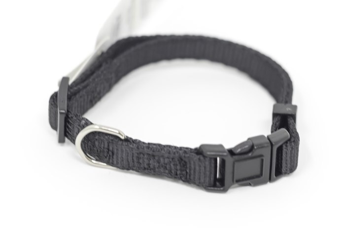 PS+ Dog Collar 8-12 Inches