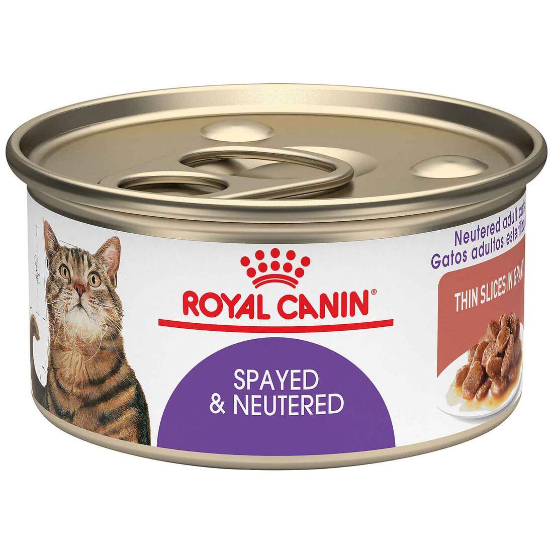 Royal Canin? Feline Care Nutrition? Wet Cat Food, Spayed & Neutered Thin Slices in Gravy, 3 Ounces