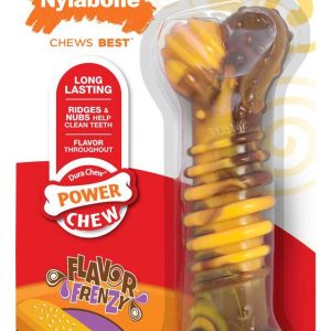 Nylabone Dura Chew Flavor Frenzy Cheesesteak Flavor Dog Chew Toy