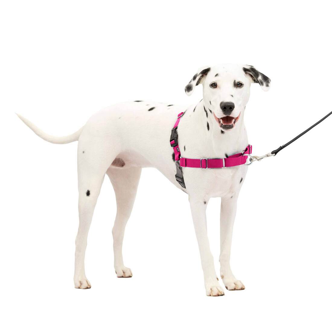 PetSafe® Easy Walk® Harness - Image 2